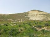 Долина реки Камышчай, image of landscape/habitat.