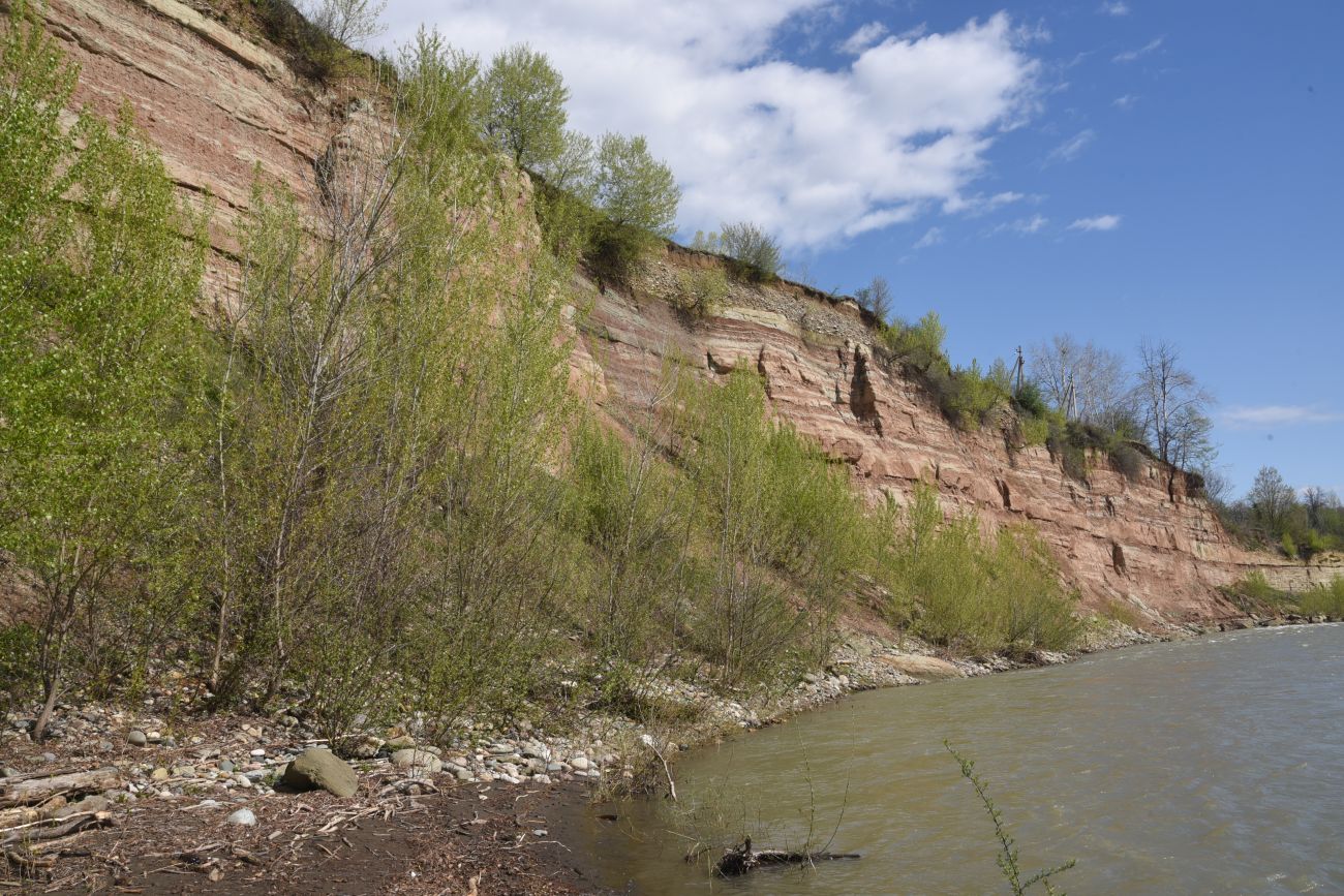 Кладка, image of landscape/habitat.