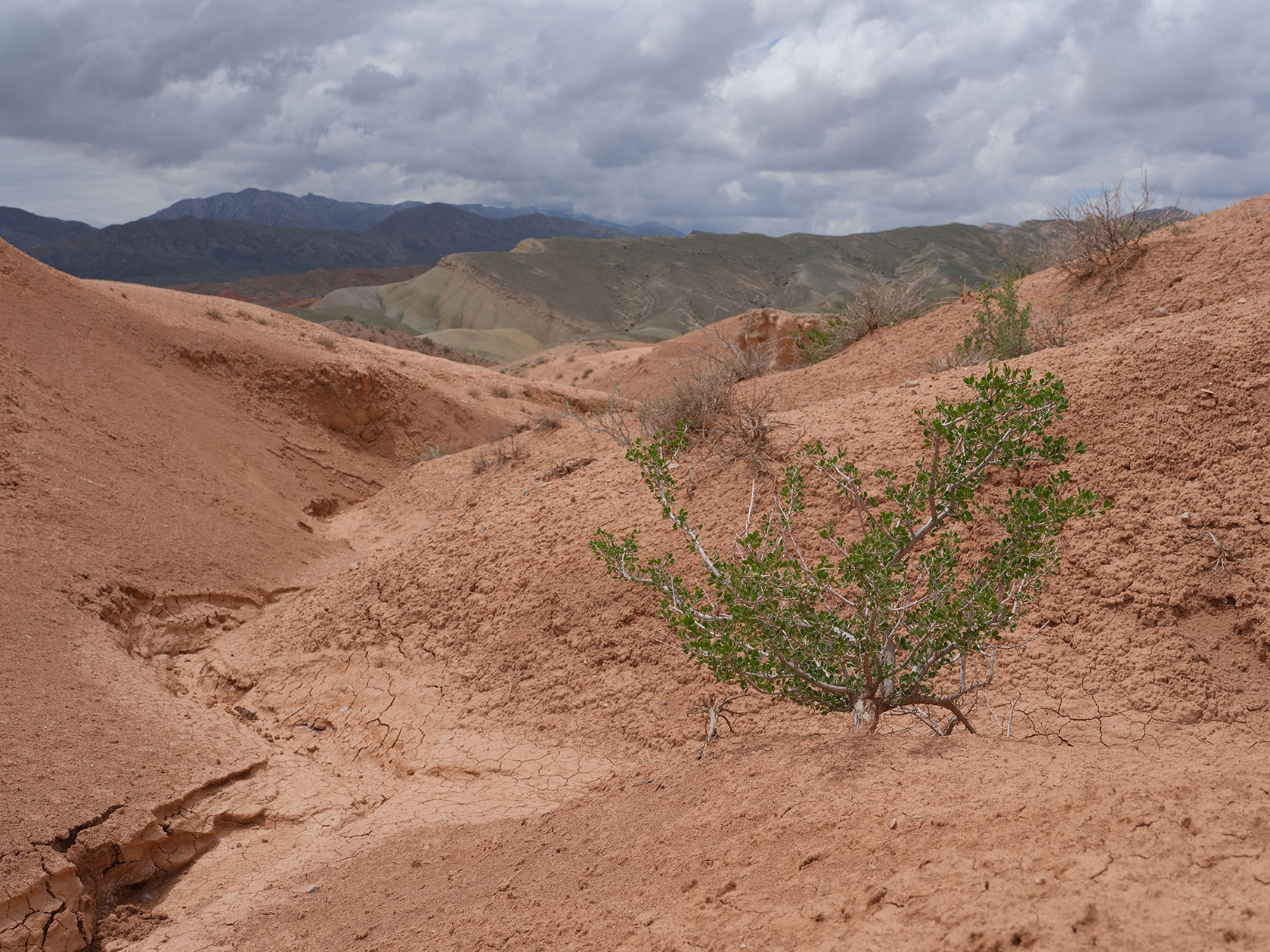 Мадыген, image of landscape/habitat.