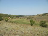 Верховья реки Самоткань, image of landscape/habitat.