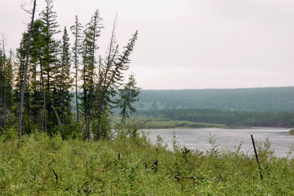 Буотама, image of landscape/habitat.