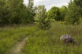 Сыркино, image of landscape/habitat.