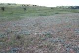 Image of landscape