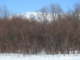 Окрестности с. Жабаглы, image of landscape/habitat.