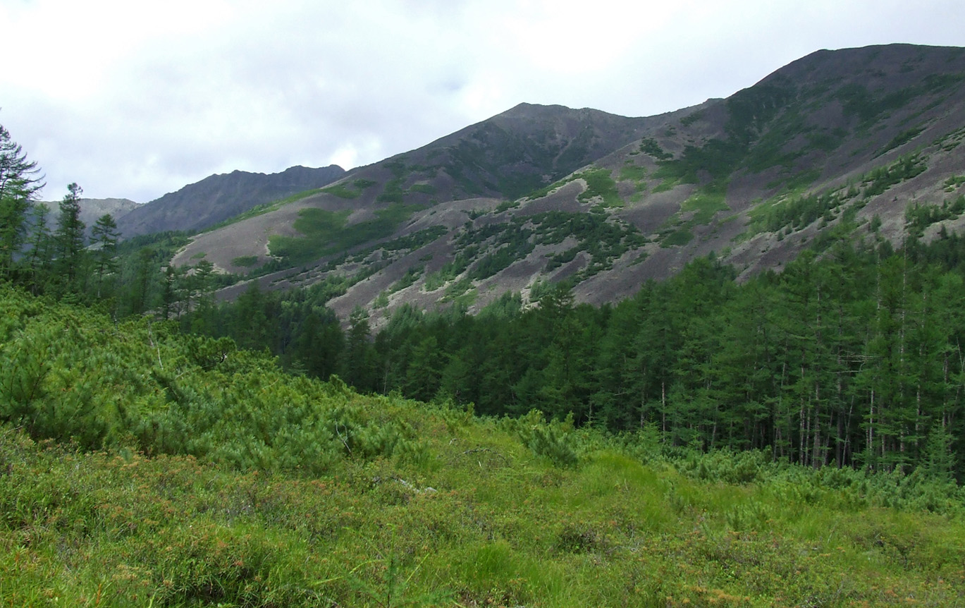 Баджальский хребет, image of landscape/habitat.