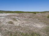 Image of landscape