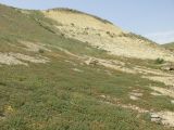 Долина реки Камышчай, image of landscape/habitat.