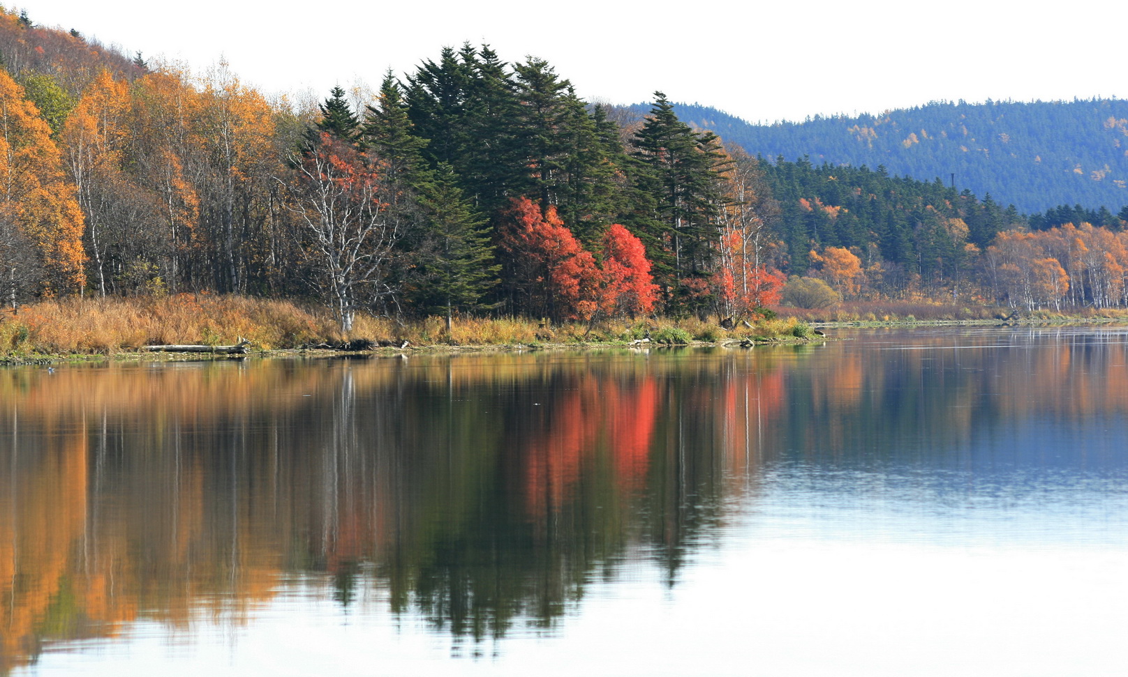 Село Охотское, image of landscape/habitat.