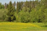 Image of landscape