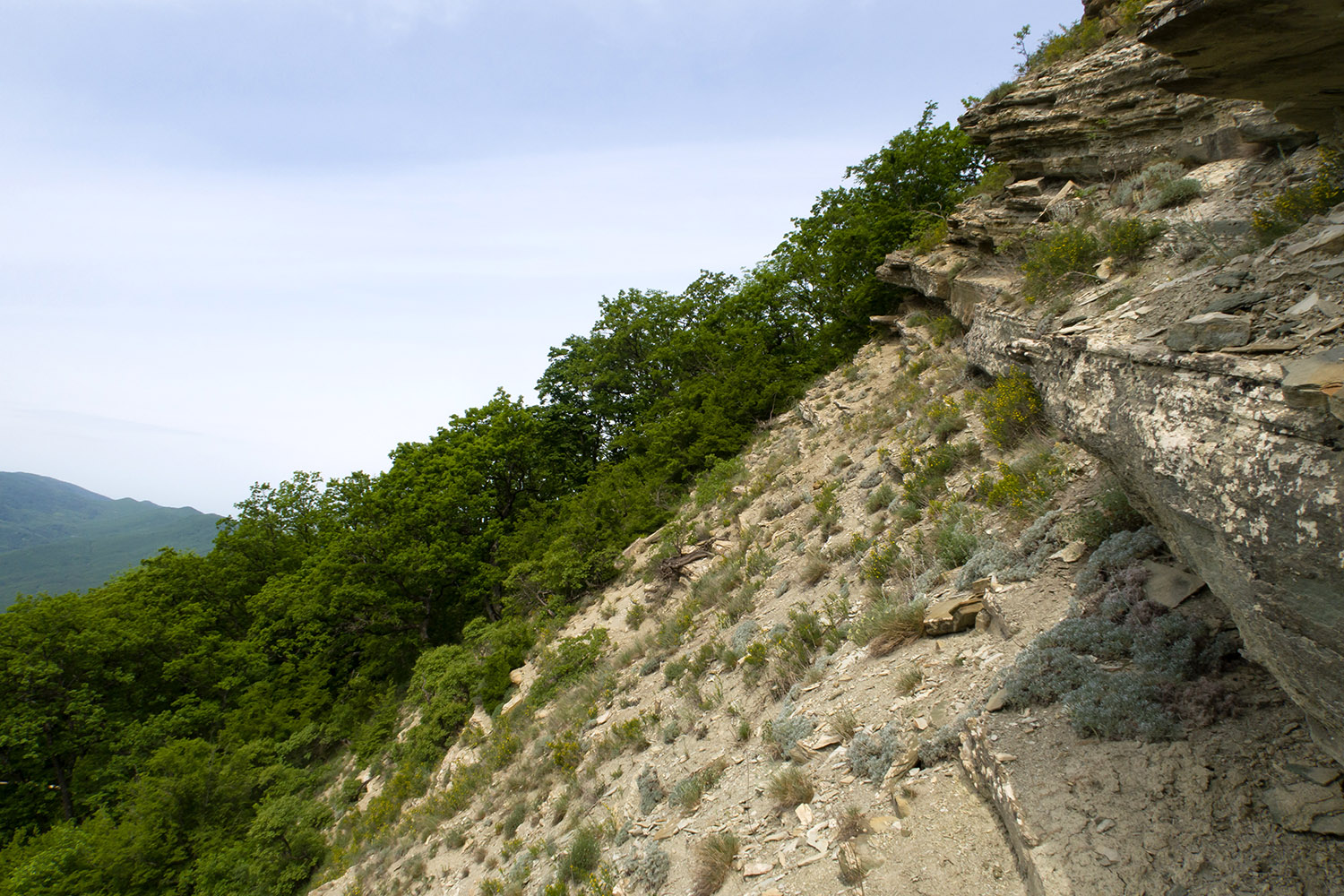 Собер-Баш, image of landscape/habitat.