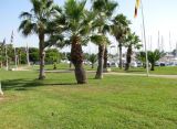 Image of landscape