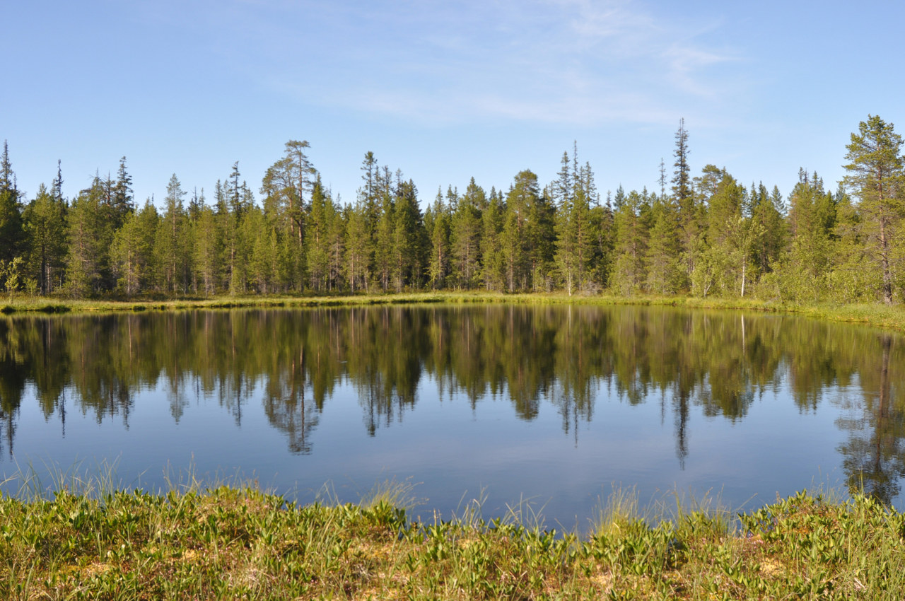 Большой Соловецкий остров, image of landscape/habitat.