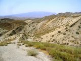 Image of landscape