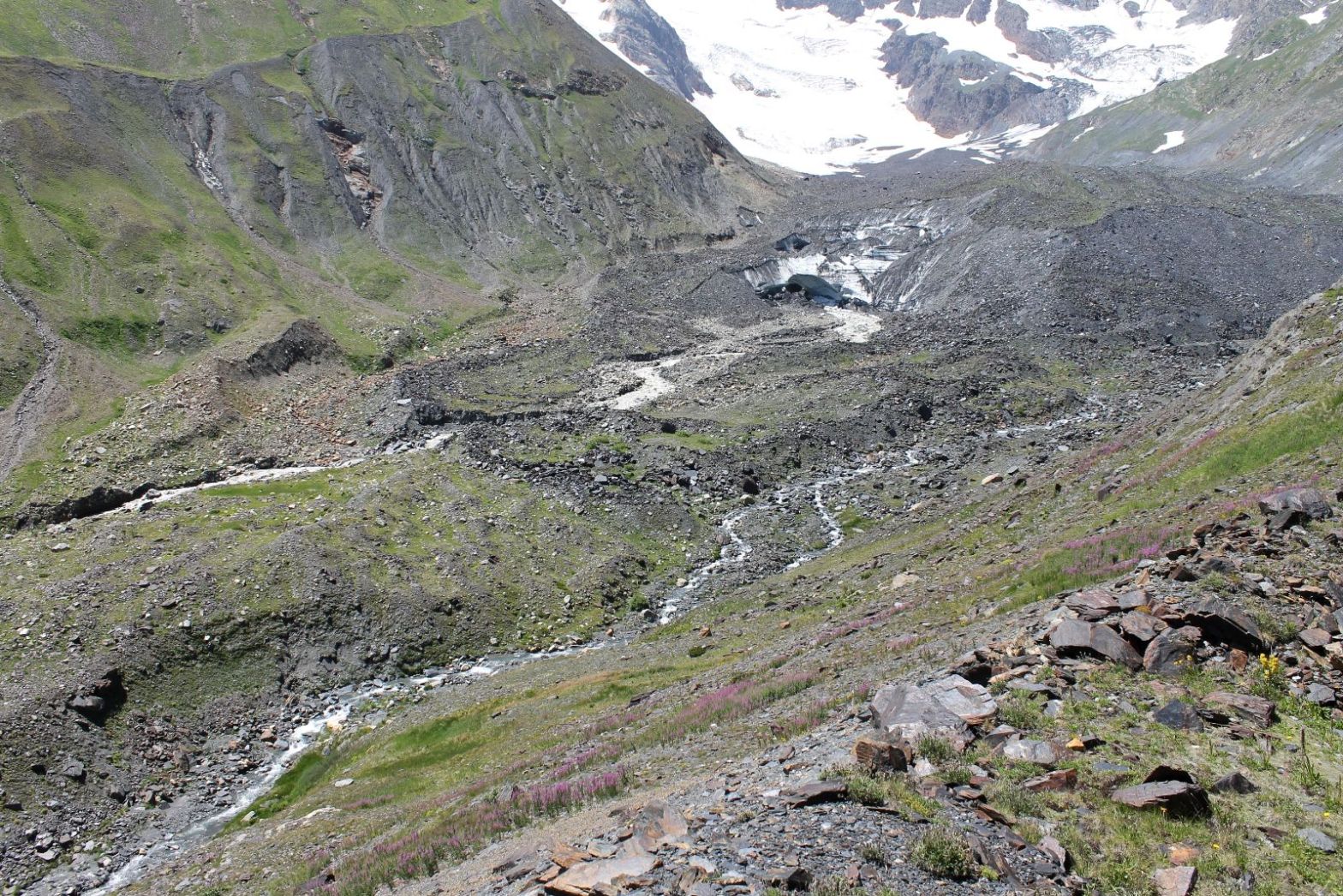 Мосота, image of landscape/habitat.