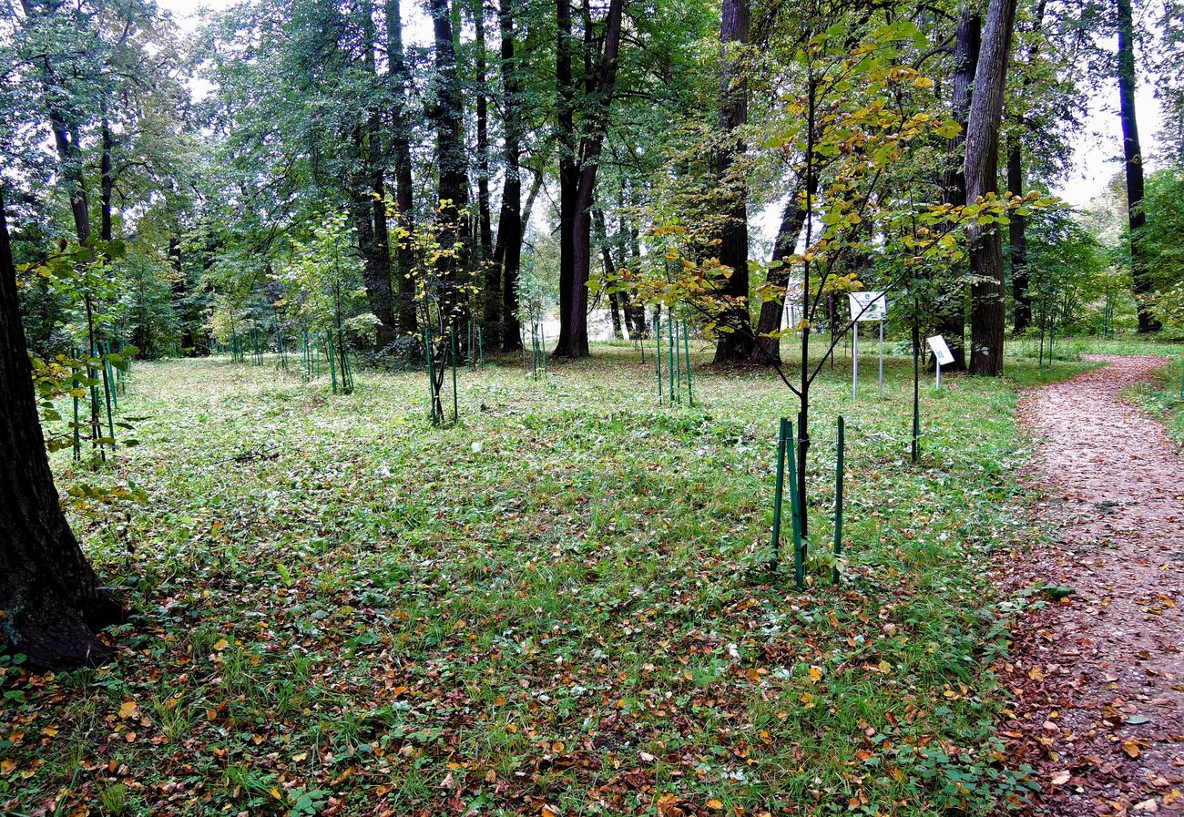 Захарово, image of landscape/habitat.