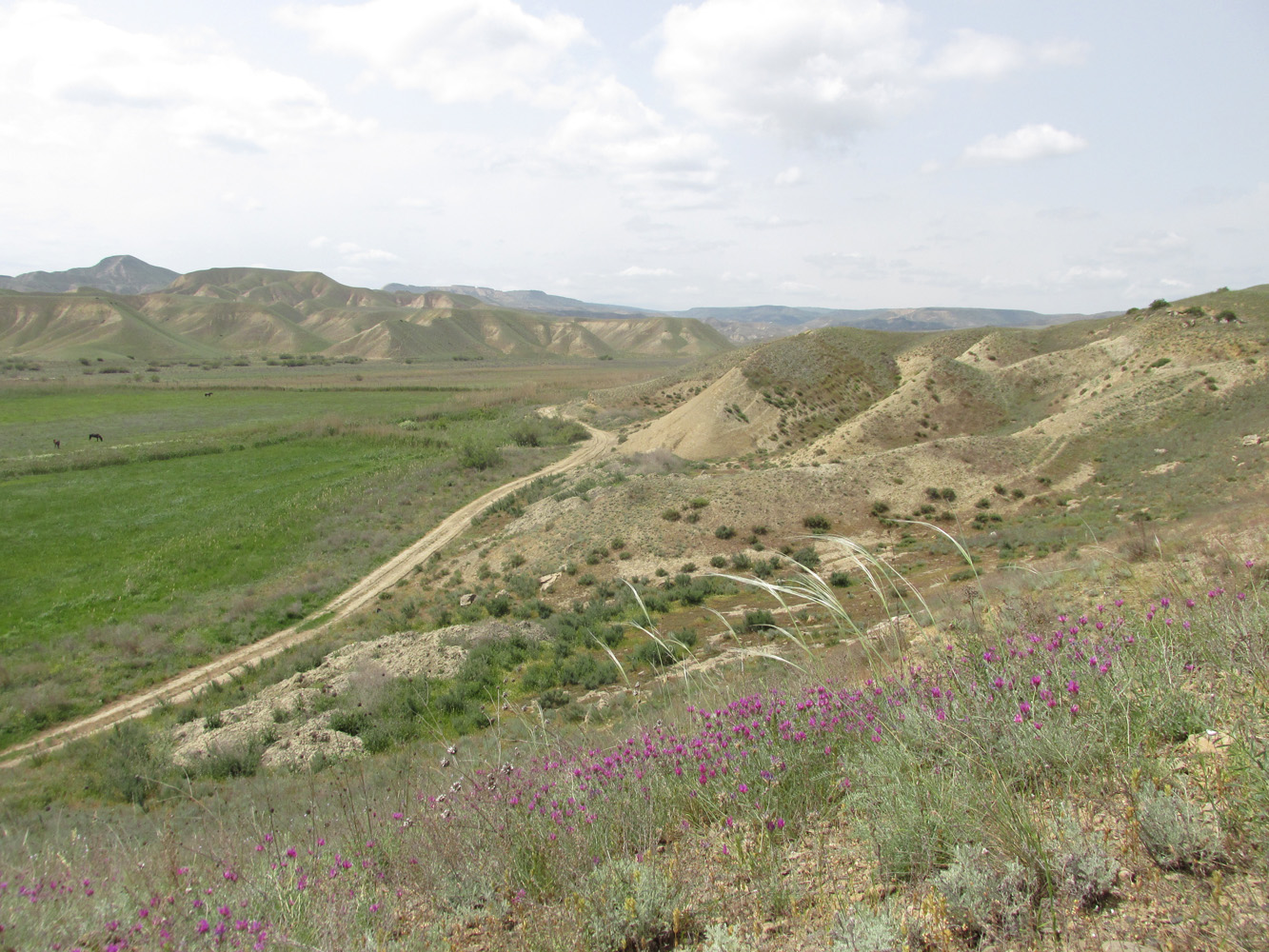 Долина реки Камышчай, изображение ландшафта.