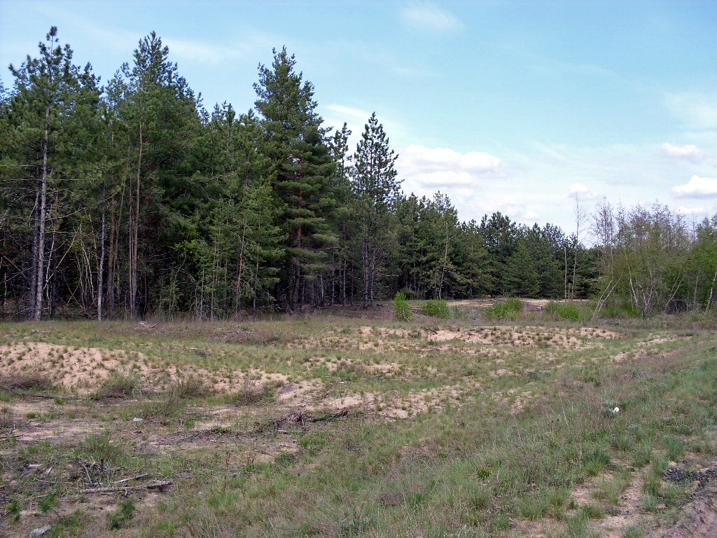 Заказник "Нижне-Кундрюченский", image of landscape/habitat.