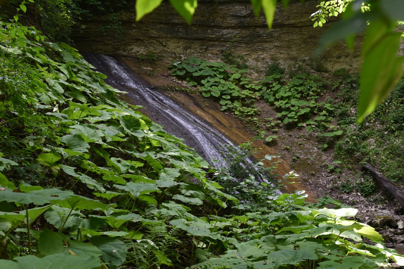 Водопад Аминовский, image of landscape/habitat.