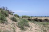 Image of landscape