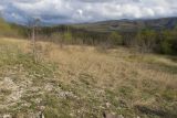 Зарастающий мергелевый карьер, image of landscape/habitat.
