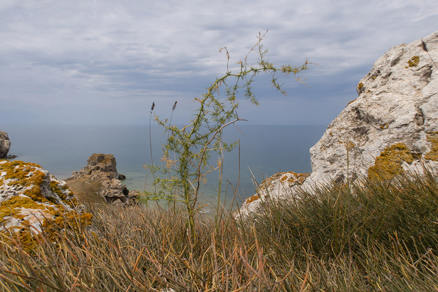 Генеральские пляжи, image of landscape/habitat.