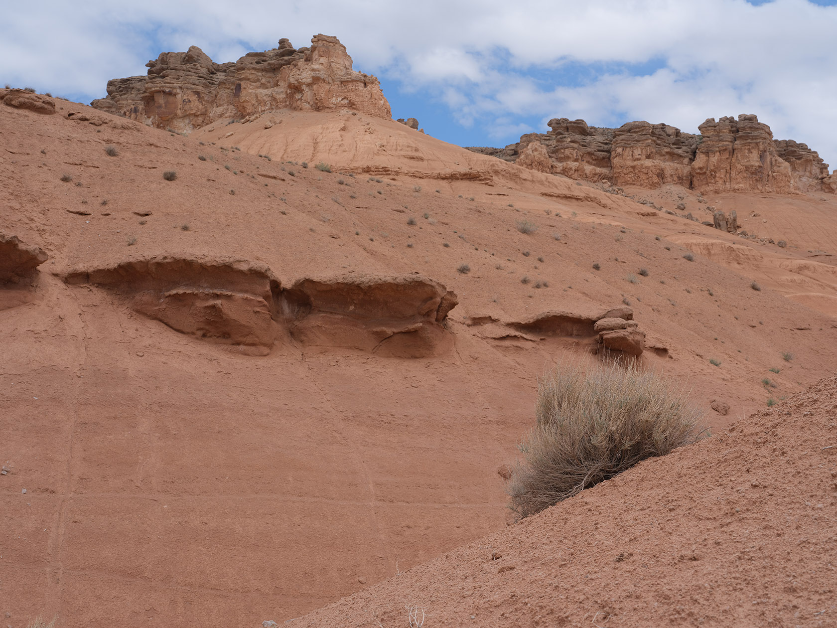 Мадыген, image of landscape/habitat.