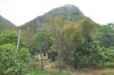 Image of landscape