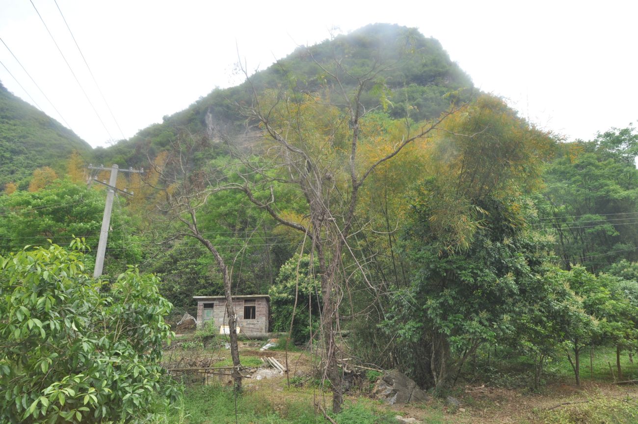 Деревня Дуто, image of landscape/habitat.