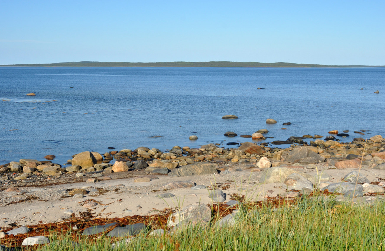 Большой Соловецкий остров, image of landscape/habitat.