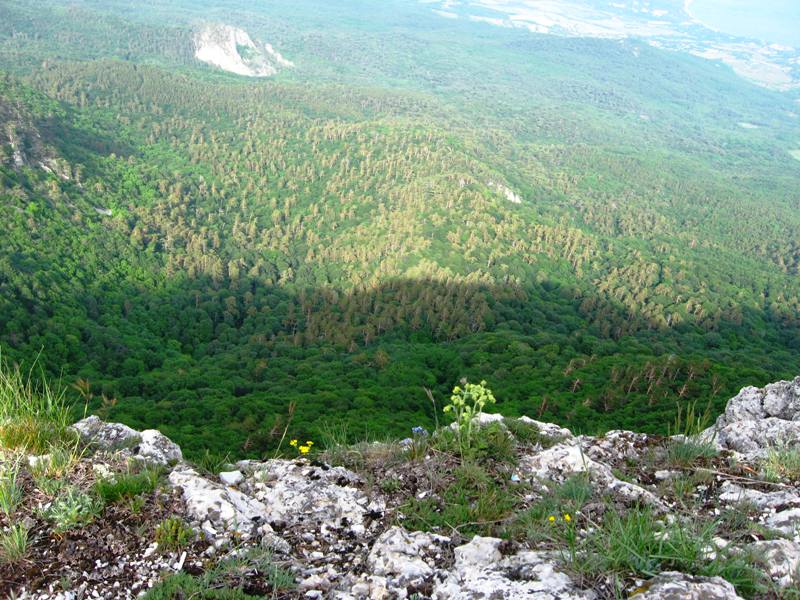 Гурзуфская яйла, изображение ландшафта.