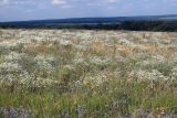 Винновка, image of landscape/habitat.