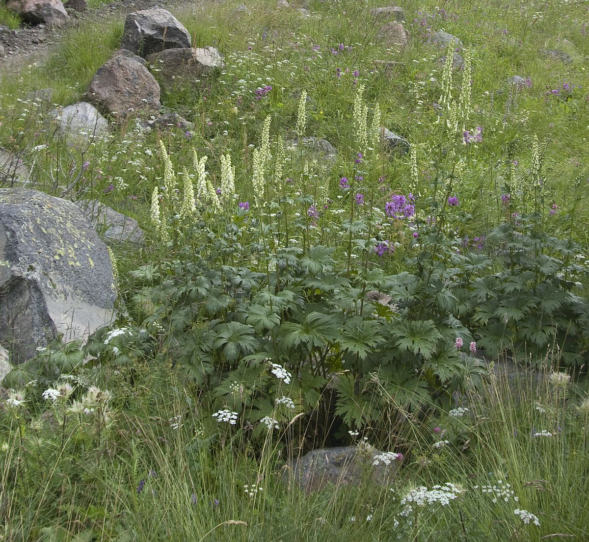 Путь к Терскольской обсерватории, image of landscape/habitat.