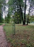 Image of landscape