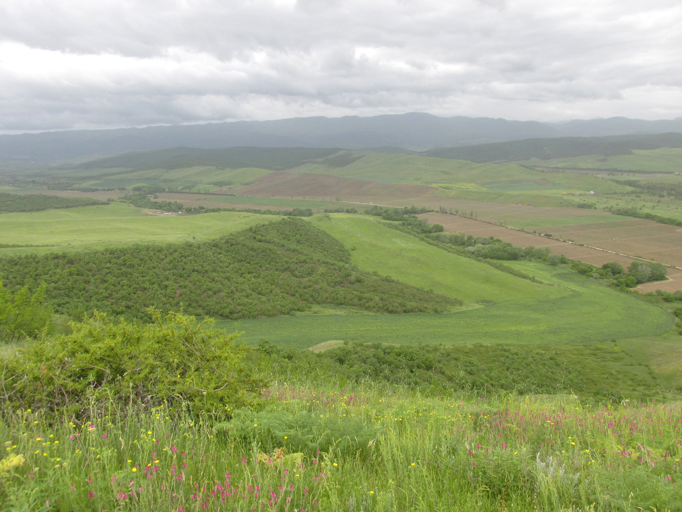 Окрестности села Геджух, image of landscape/habitat.