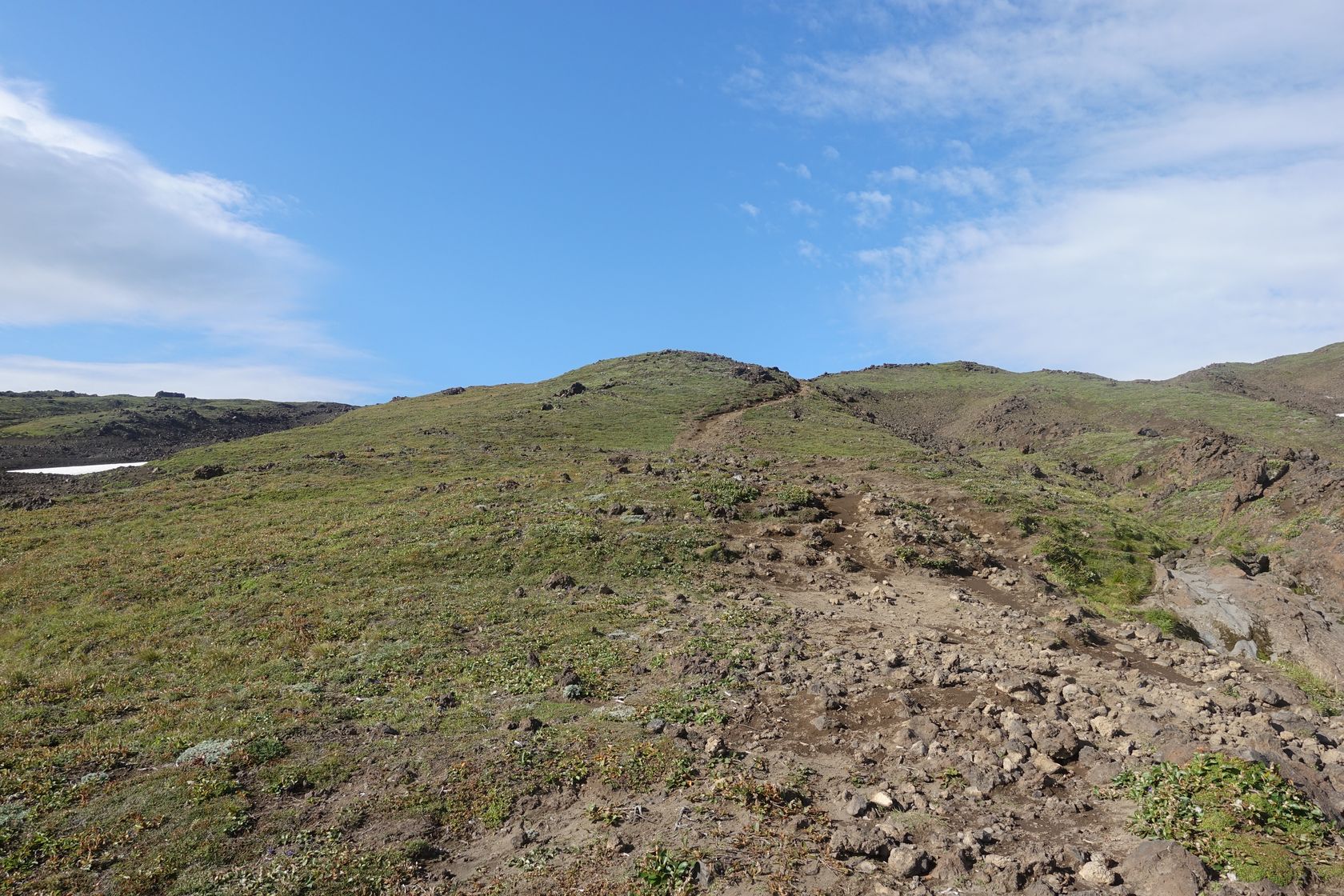 Вулкан Горелый, image of landscape/habitat.