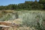 Мыс Дубовский, image of landscape/habitat.