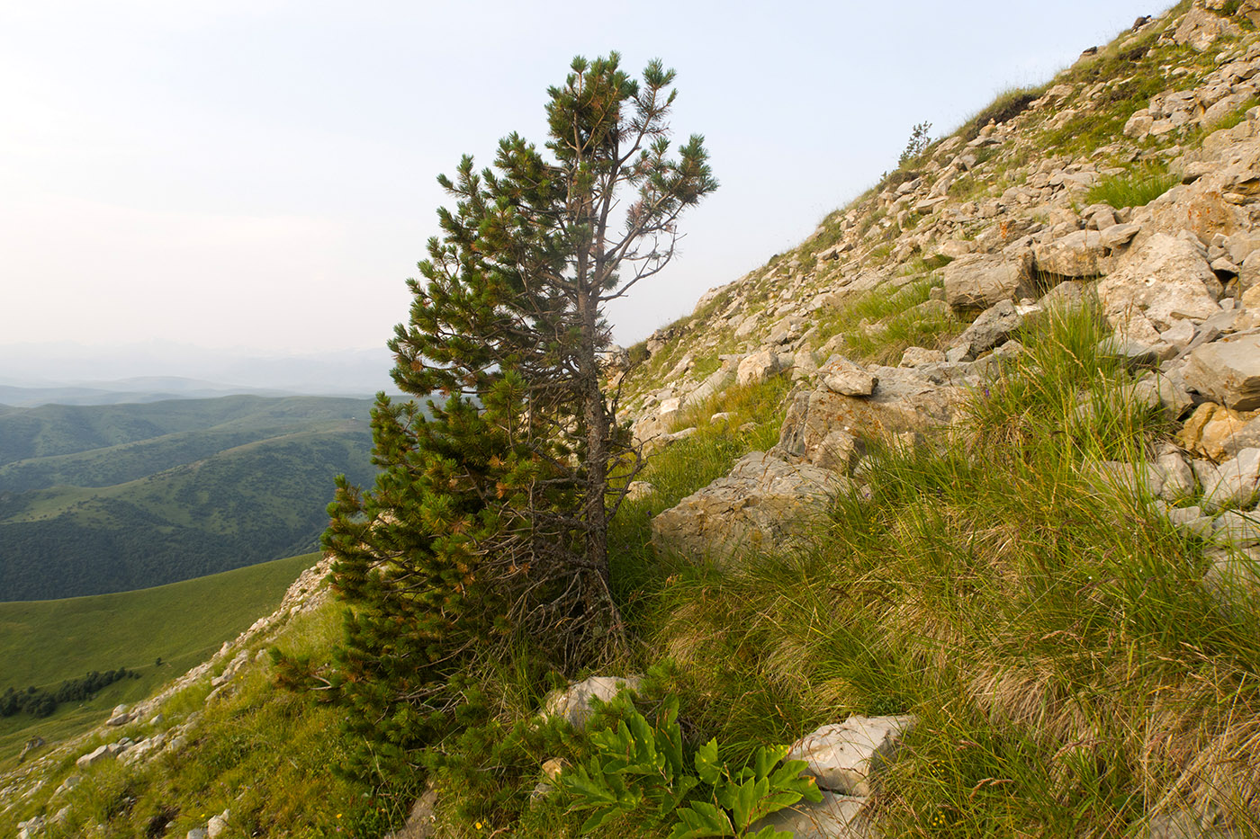 Малый Бермамыт, image of landscape/habitat.