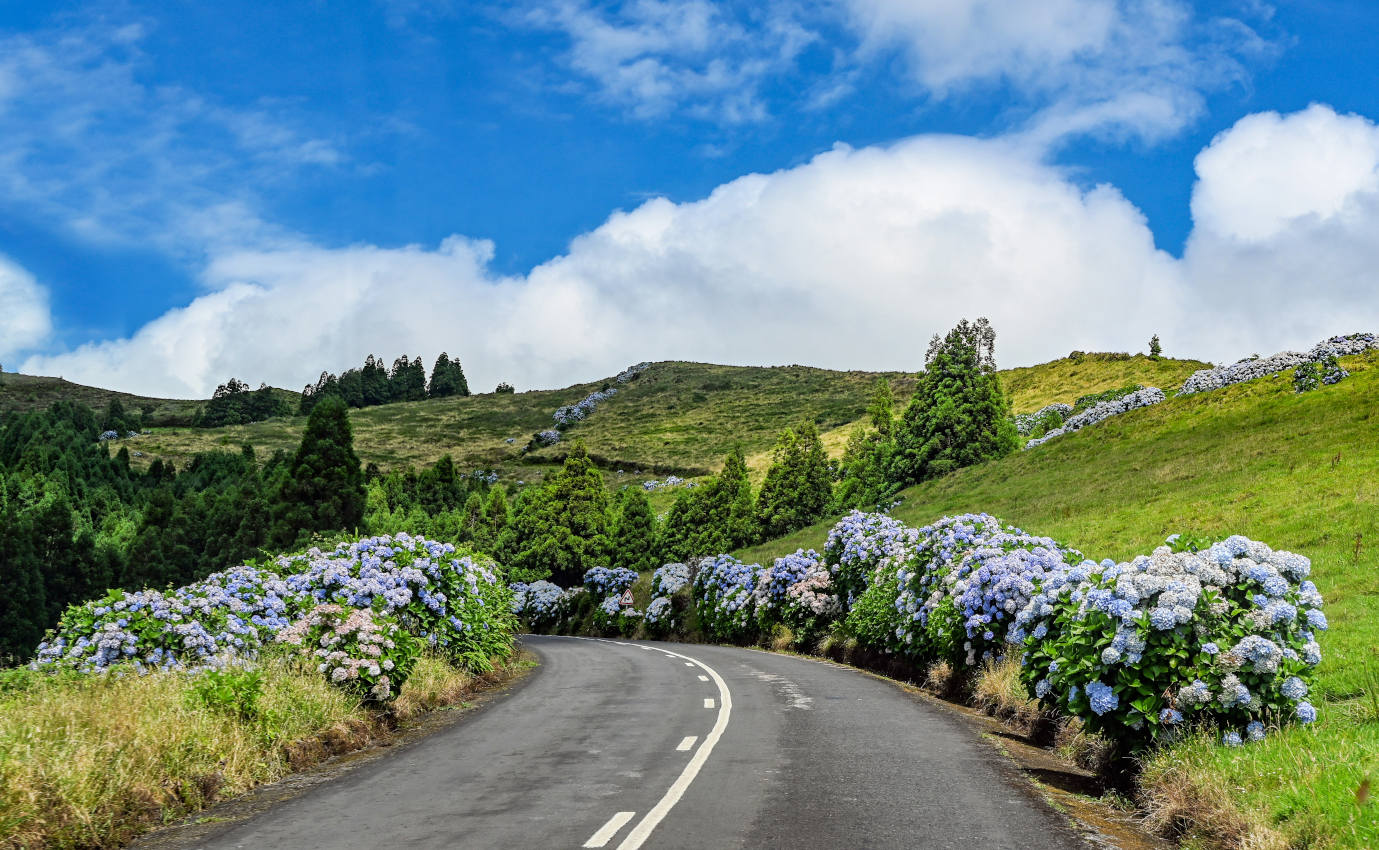 Лагоа-ду-Фогу, image of landscape/habitat.