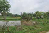 Image of landscape