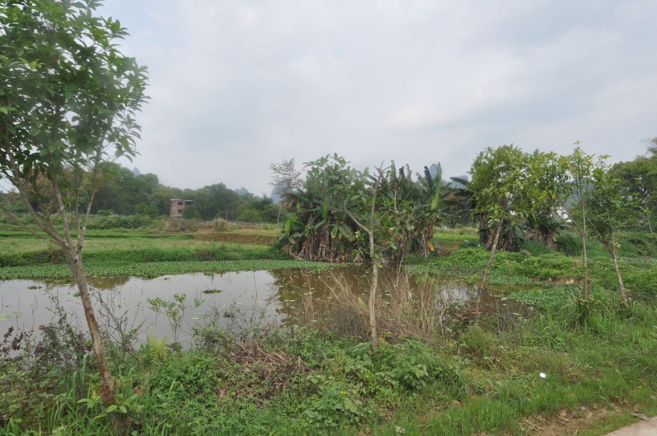 Деревня Дуто, image of landscape/habitat.