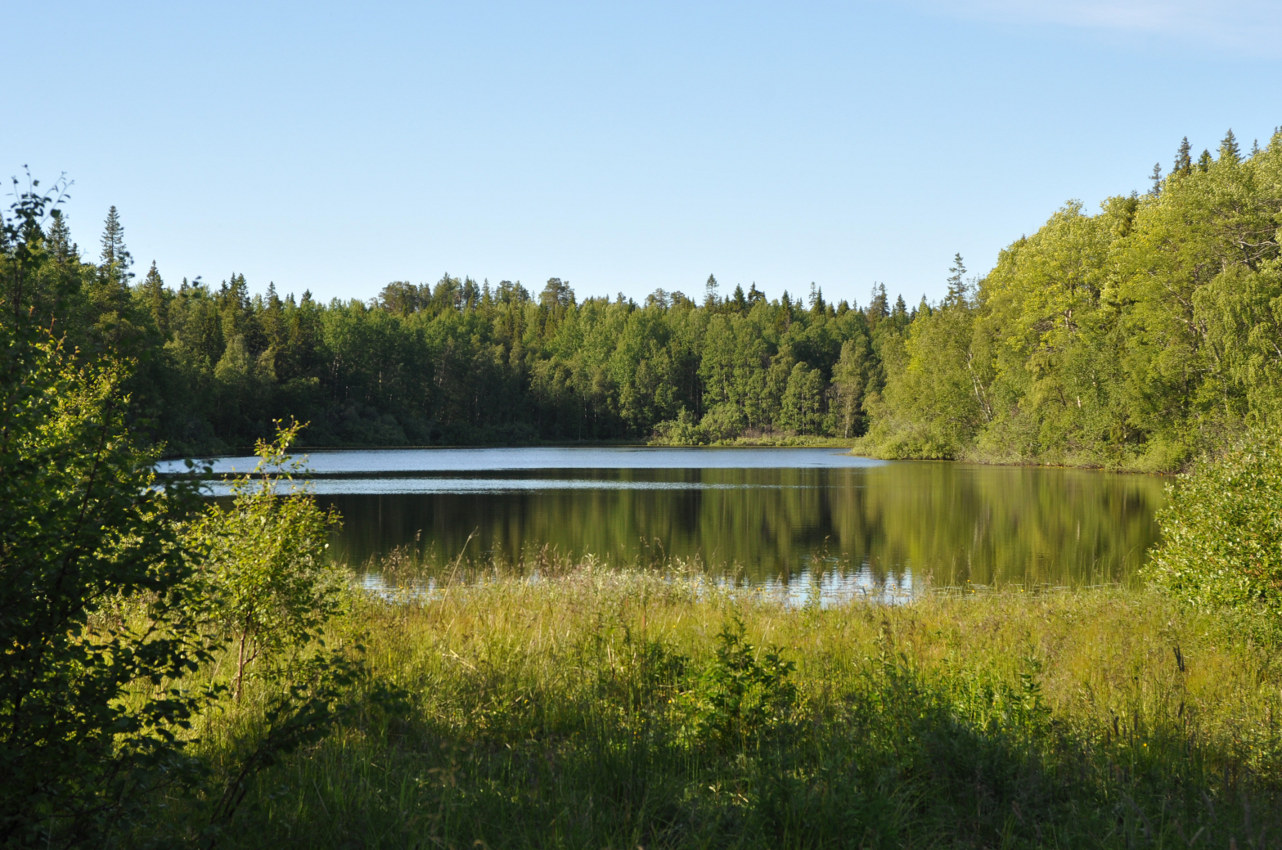 Большой Соловецкий остров, image of landscape/habitat.