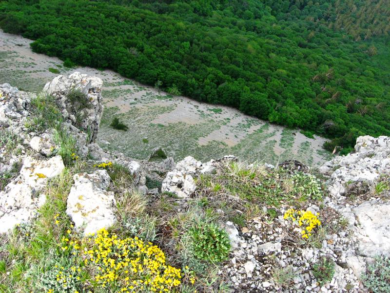 Гурзуфская яйла, изображение ландшафта.