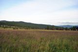 Image of landscape