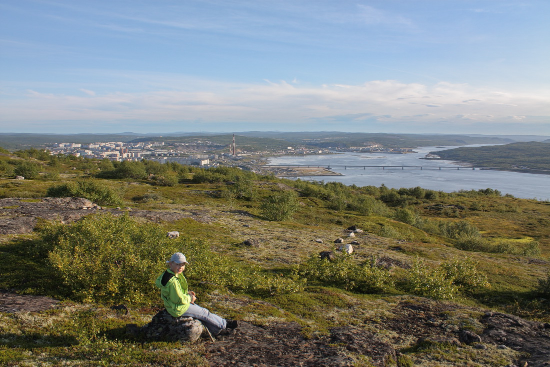 Горелая сопка, image of landscape/habitat.