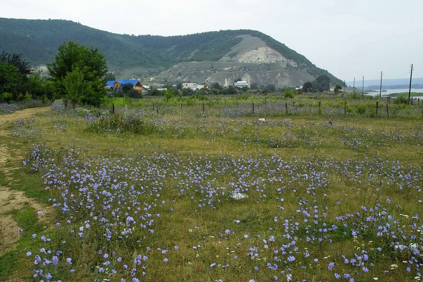 Ширяево, изображение ландшафта.