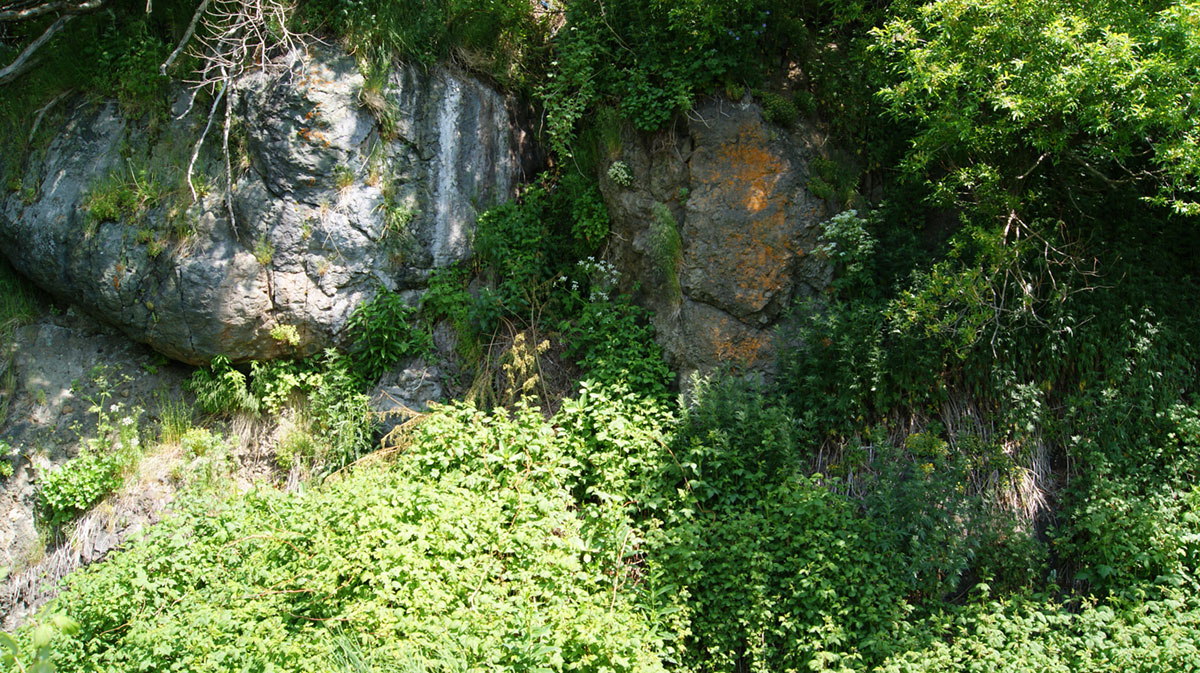 Петропавловск-Камчатский, image of landscape/habitat.