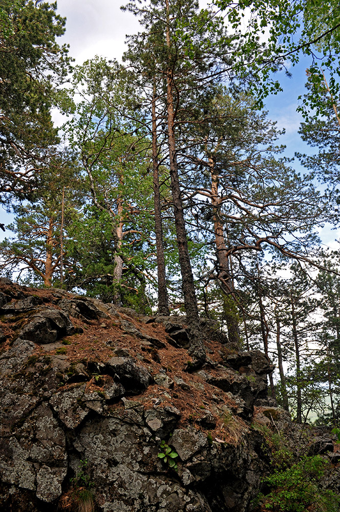 Гора Малая Синюха, image of landscape/habitat.