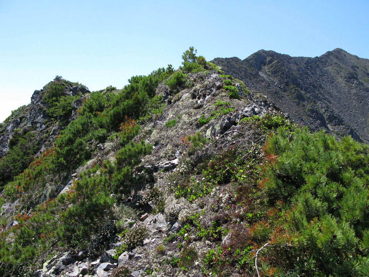 Баджальский хребет, изображение ландшафта.