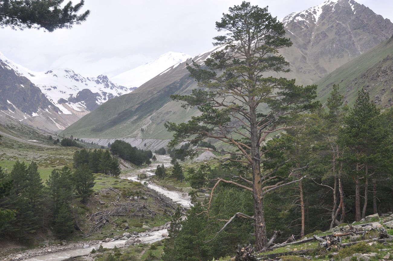 Долина реки Ирик, image of landscape/habitat.