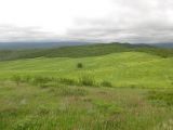 Image of landscape